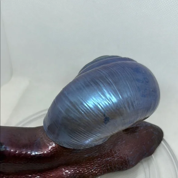 Iridescent Resin Snail Figurine - Picture 9 of 12